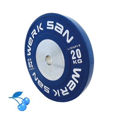 LIONFIT RENKLI ANTRENMAN 20 KG DISK