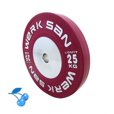 LIONFIT RENKLI ANTRENMAN 25 KG DISK